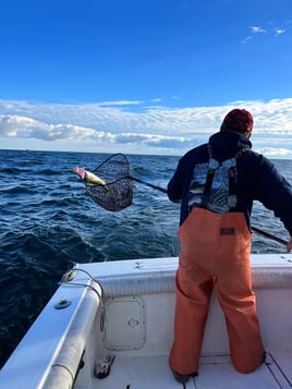 Full Day Lake Erie Fishing