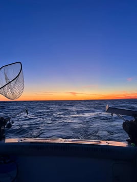Perch, Trout And Walleye Fishing