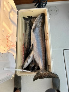 Premier Charter Fishing