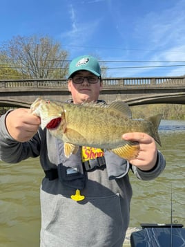 Bass Fishing Trip