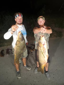 Bowfishing Trips