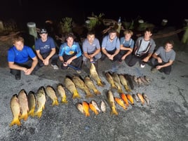 Bowfishing Trips