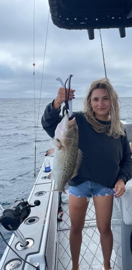 4-12 Hour Trip Offshore