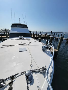 Offshore Bottom Fishing