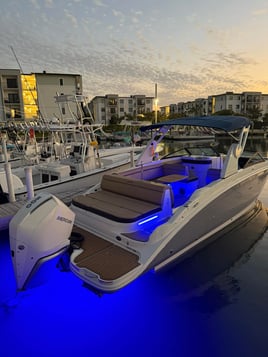 4 Hour – Sandbar Trip