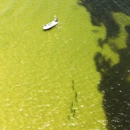 Inshore - Flats Skiff