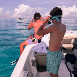 Snorkel Charter