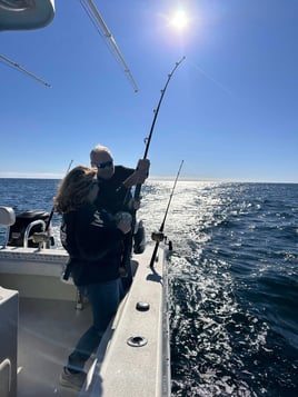 3 Hour Spring Quick Trip