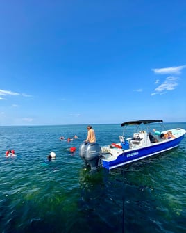 Inshore Fishing Trip