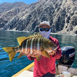 Solo Fishing