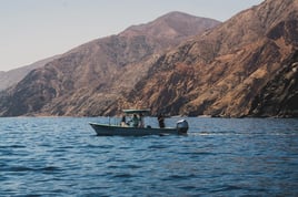 Solo Fishing