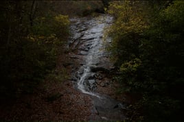 Guided Fly Fishing Trip