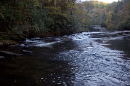 Guided Fly Fishing Trip