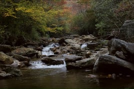 Guided Fly Fishing Trip