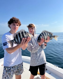 4-8 Hour Inshore Trip