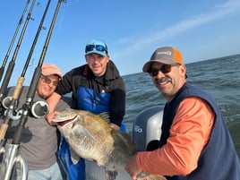 Black Drum Fishing Trip