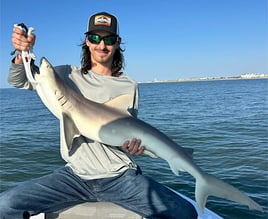 Shark Fishing Charter - 4 Hours