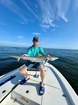 Shark Fishing Charter - 4 Hours