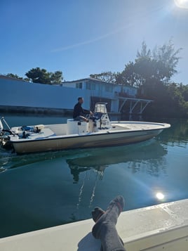 4hrs Inshore Tarpon Fishing