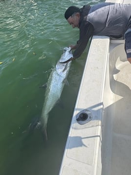 4hrs Inshore Tarpon Fishing