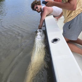 4hrs Inshore Tarpon Fishing