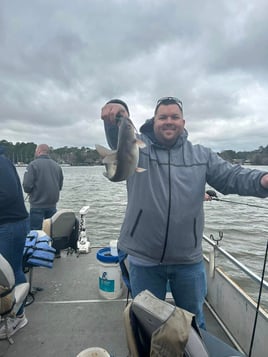 Eating Size Catfish Trip