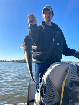 Eating Size Catfish Trip