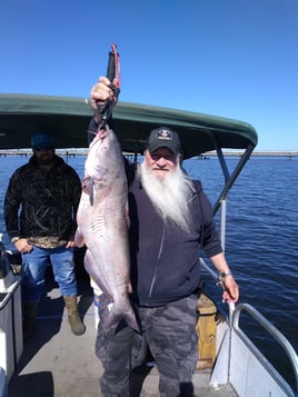 Trophy Catfishing Trips