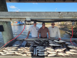 Inshore Fishing!