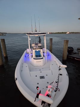 Inshore Fishing!