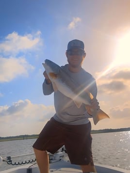 Inshore Fishing!