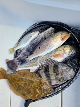 Inshore Fishing!