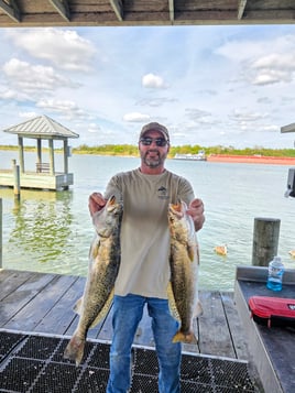 Inshore Fishing!