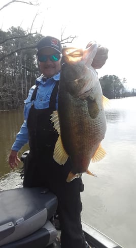 Bass Fishing Trip