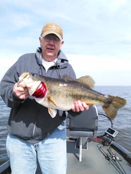 Bass Fishing Trip
