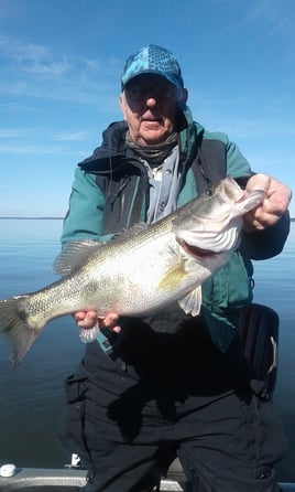 Bass Fishing Trip
