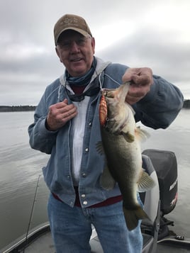 Bass Fishing Trip