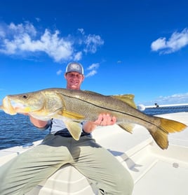 Half Day Charters In Boca Grande 