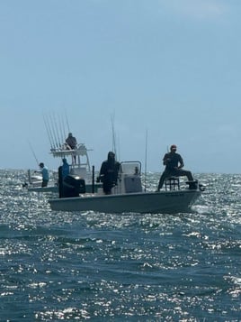 Half Day Charters In Boca Grande 