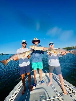 Half Day Charters In Boca Grande 