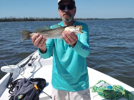 Inshore Fishing Trip