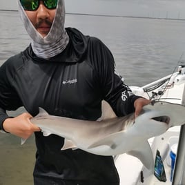 Inshore Fishing Trip