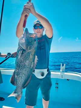 4 Hr Fishing In Gulf Of America