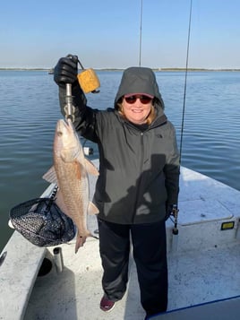 Inshore Fishing Trip