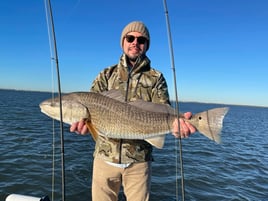 Inshore Fishing Trip