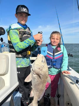 Bay Trip