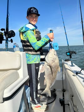 Bay Trip