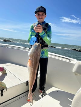 Bay Trip