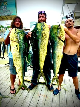 8 Hr Offshore Trolling