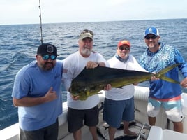 4-6 Hr Fishing For Up To 8 People 